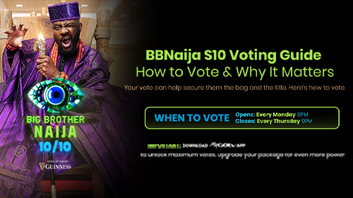 <p><strong>How to Cast Your Vote on Big Brother Naija Season 10</strong></p>