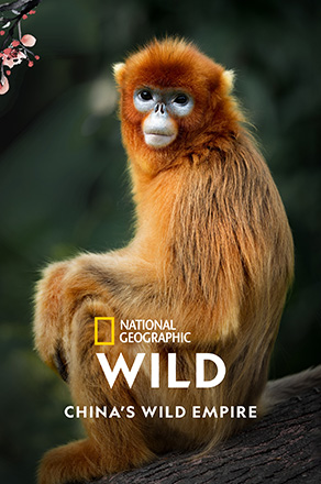 China’s Wild Empire
