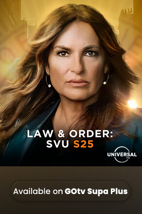 Law & Order: SVU S25